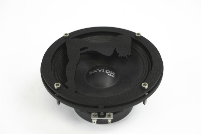 Грили для динамиков VS-AVTO Девушка 1