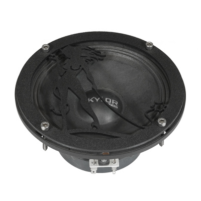 Грили для динамиков VS-AVTO Девушка 5