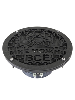 Грили для динамиков VS-AVTO Мне можно всё