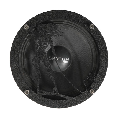 Грили для динамиков VS-AVTO Девушка 5