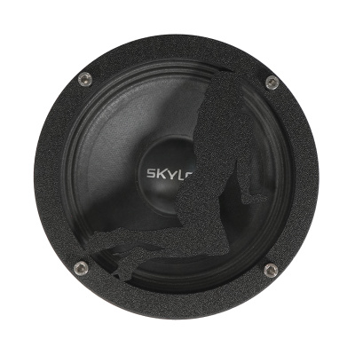 Грили для динамиков VS-AVTO Девушка 8