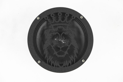 Грили для динамиков VS-AVTO Король лев 1
