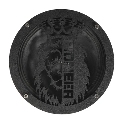 Грили для динамиков VS-AVTO Pioneer Лев