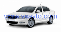 Коврики "EVA" на Skoda Octavia A5 (2004-2013)